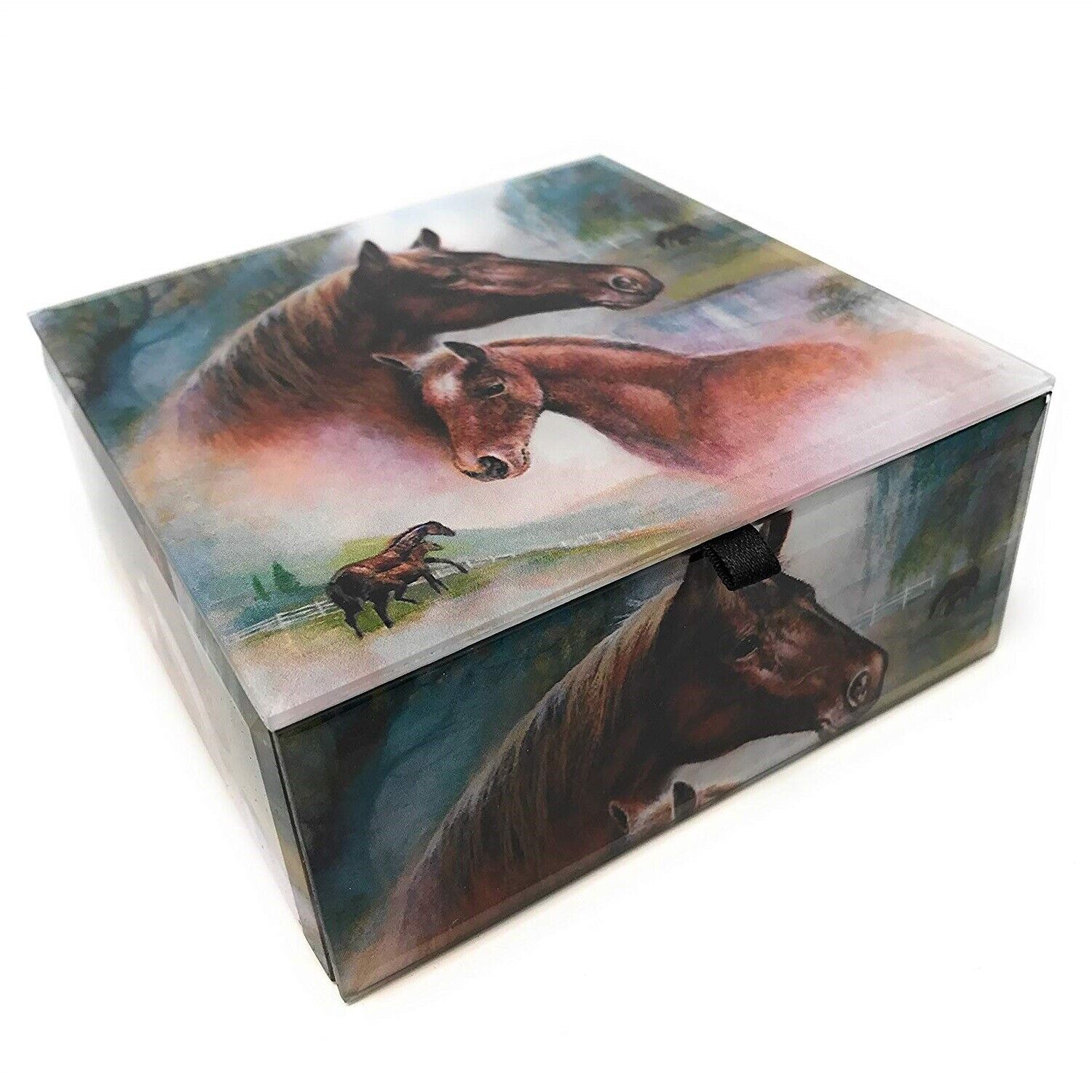 Horse Family Glass Keepsake Trinket Jewelry Box Container Velvet Lined Horses
